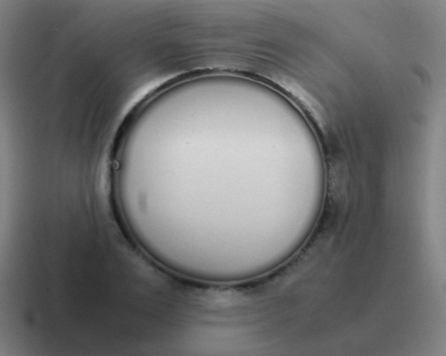 X0000116840983200912312051