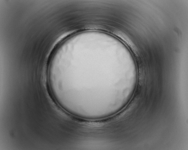 X0000116840984200912312051