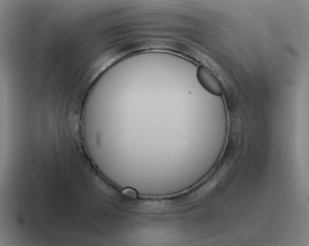 X0000116840985200912312051