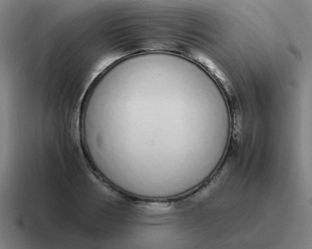 X0000116840986200912312051