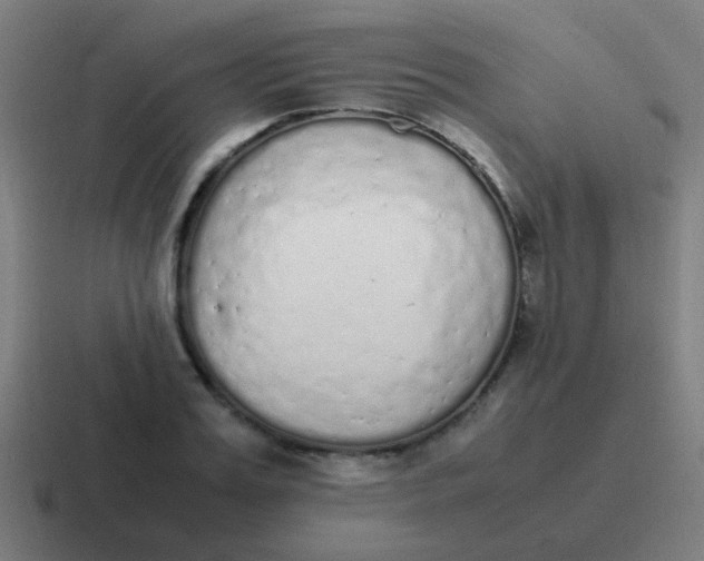 X0000116840987200912312051