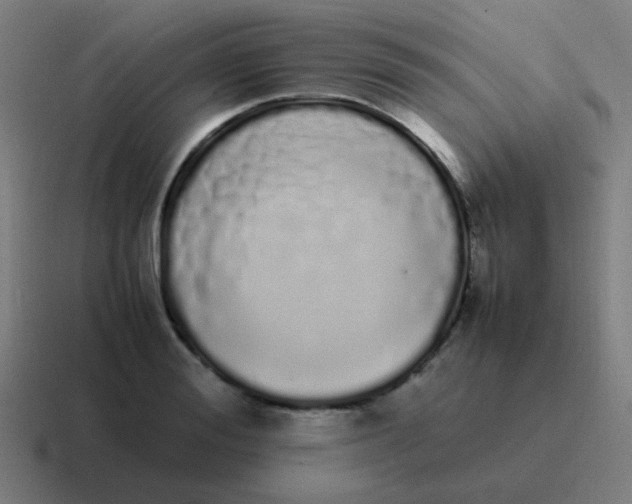 X0000116840988200912312051