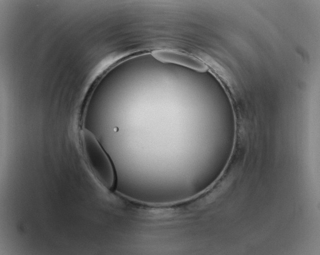 X0000116840989200912312051