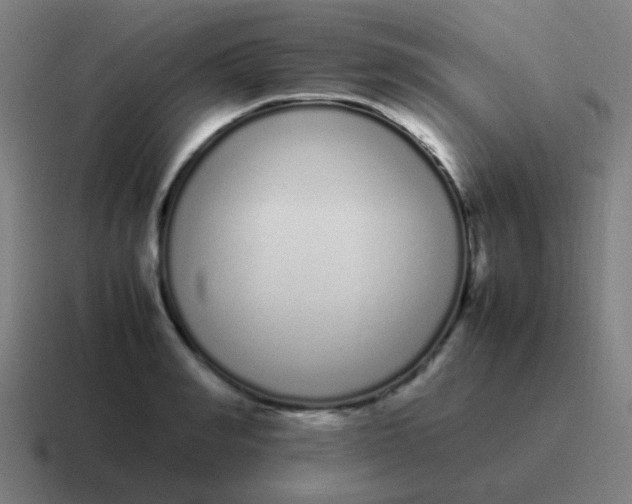 X0000116840990200912312051