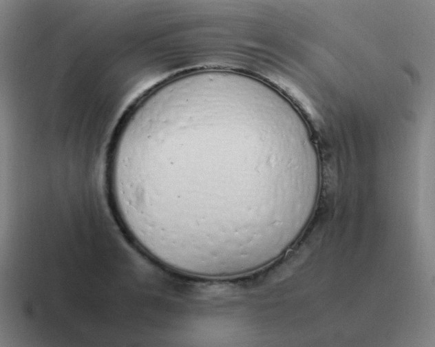 X0000116840991200912312051