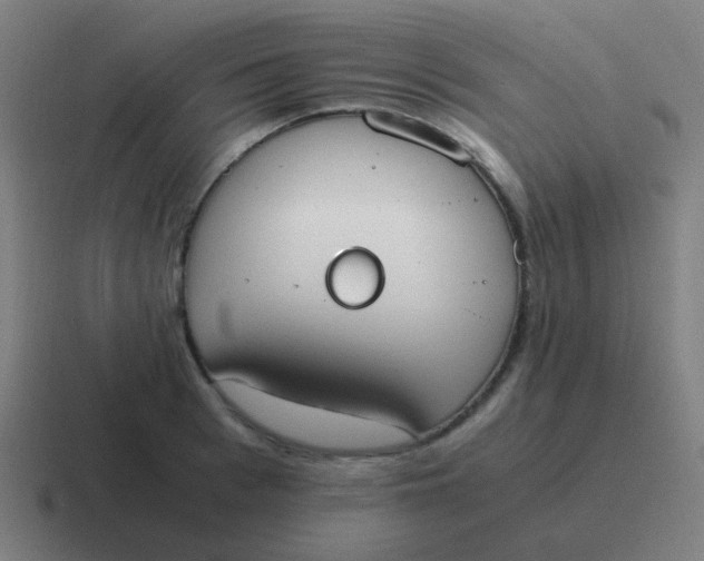 X0000116840993200912312051