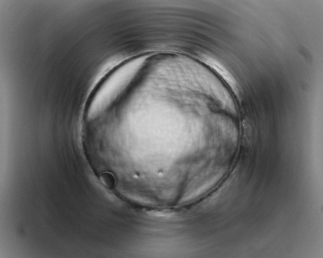 X0000116840994200912312051