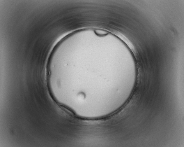 X0000116840996200912312051