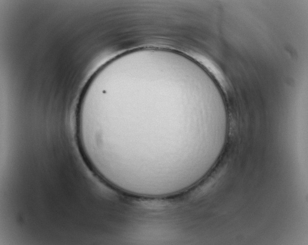 X0000116840999200912312051