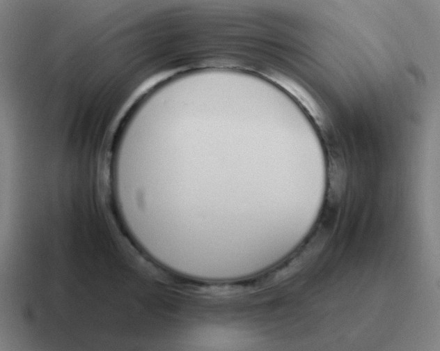 X0000116841000200912312051