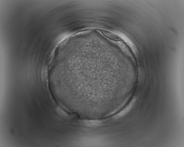 X0000116841001200912312051