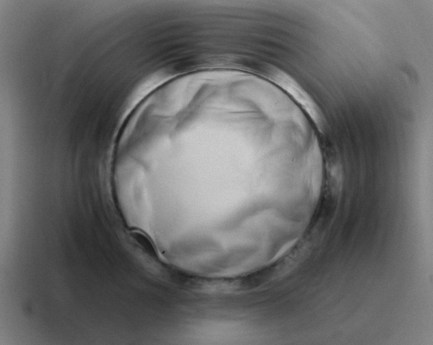 X0000116841002200912312051