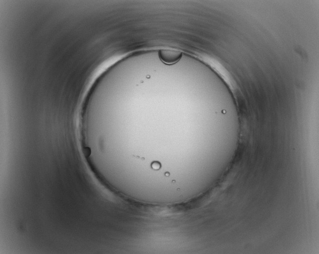 X0000116841003200912312051