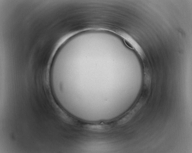 X0000116841004200912312051