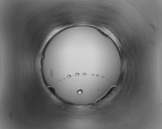 X0000116841005200912312051