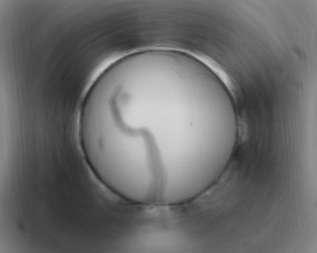 X0000116841006200912312051