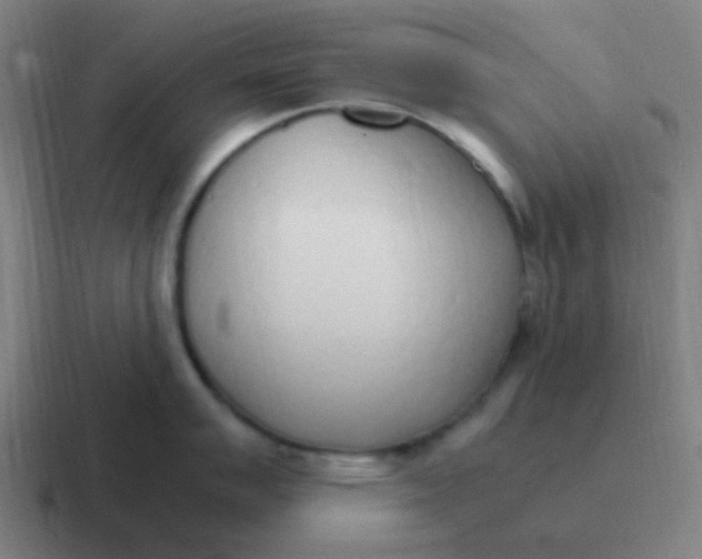 X0000116841007200912312051