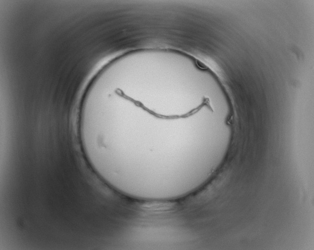 X0000116841008200912312051