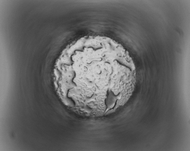 X0000116841009200912312050