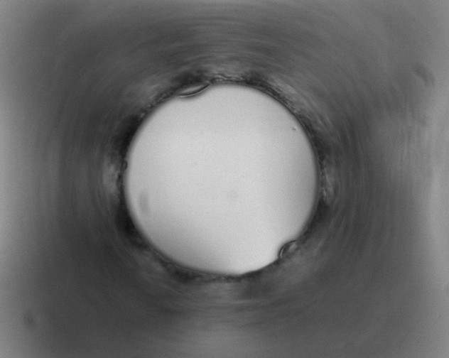 X0000116841010200912312050