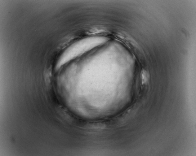 X0000116841011200912312050