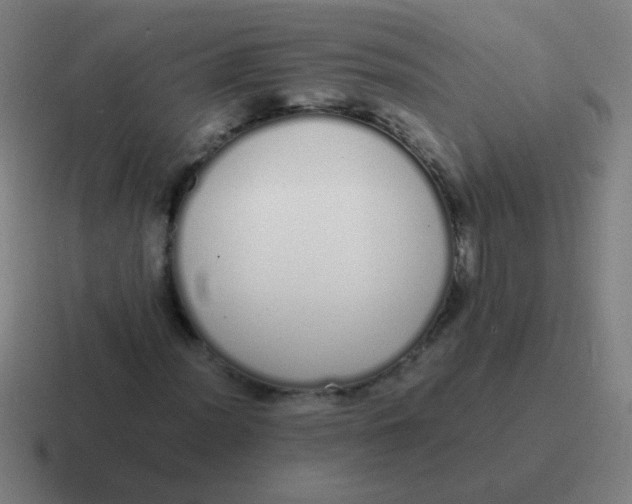 X0000116841012200912312050