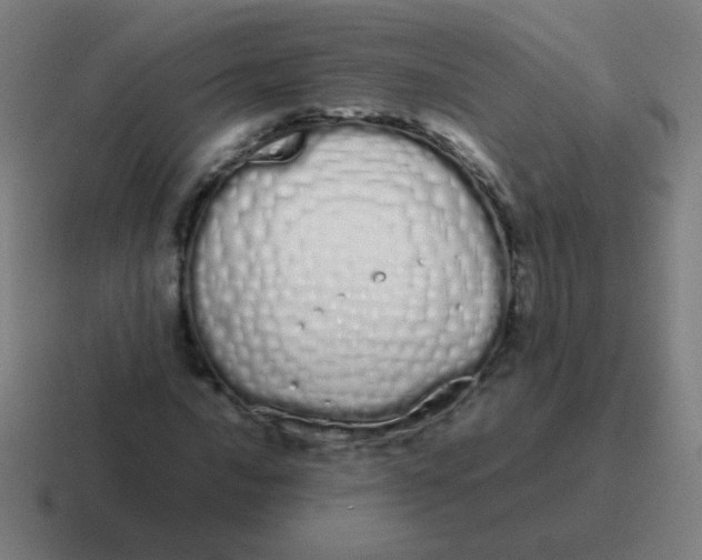 X0000116841016200912312050