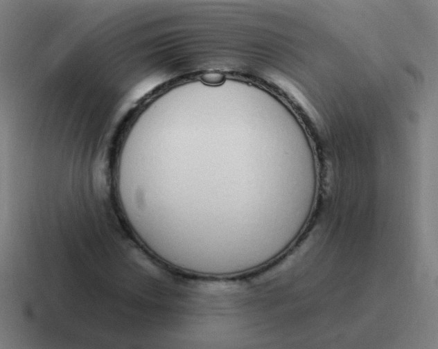 X0000116841018200912312050