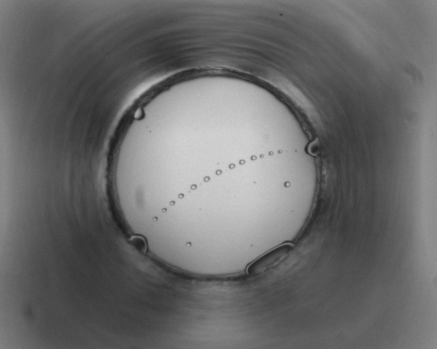 X0000116841020200912312050