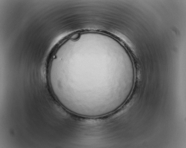 X0000116841022200912312050