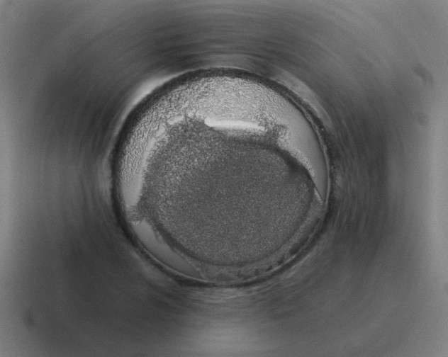 X0000116841024200912312050