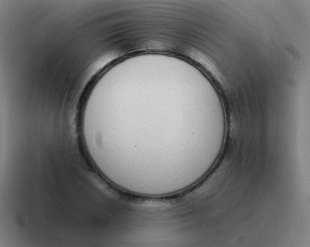 X0000116841026200912312050