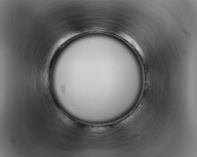 X0000116841027200912312050