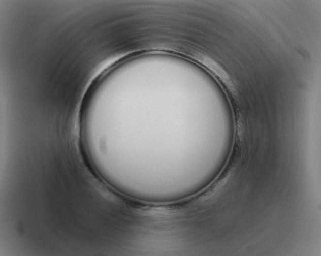 X0000116841028200912312050