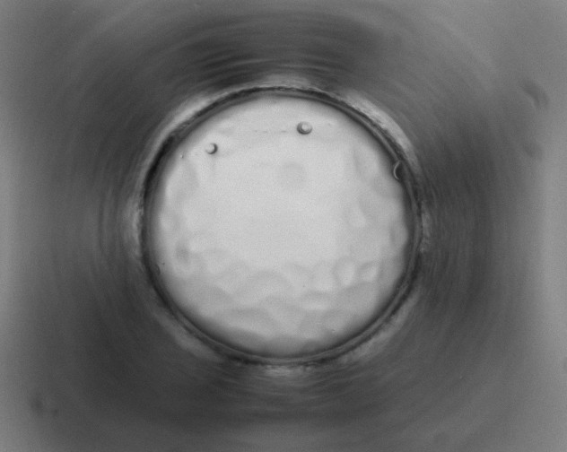 X0000116841029200912312050