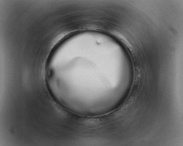 X0000116841031200912312050