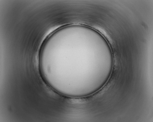 X0000116841032200912312050