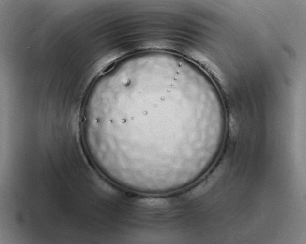 X0000116841033200912312050