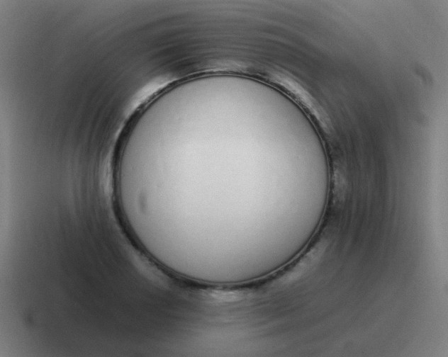 X0000116841034200912312050