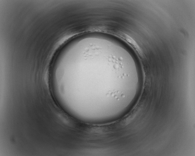 X0000116841035200912312050