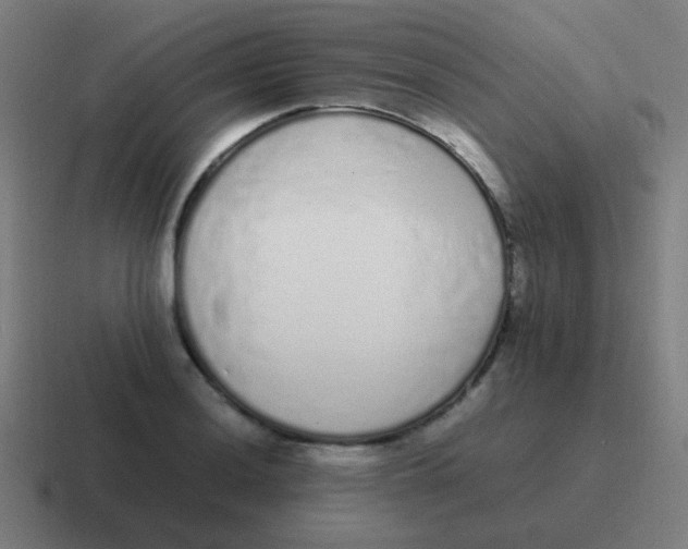 X0000116841036200912312050