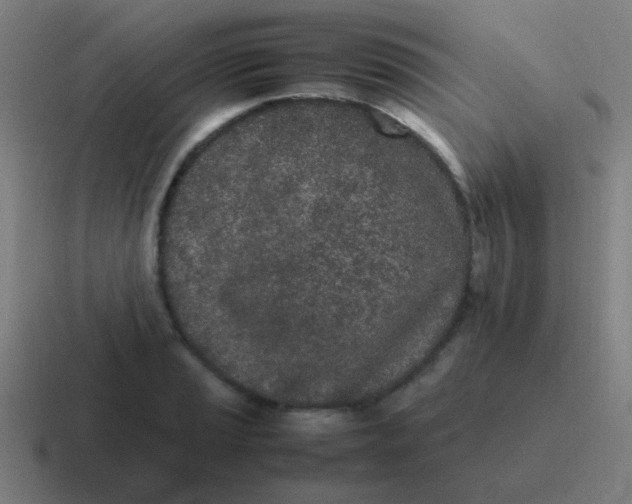 X0000116841037200912312050