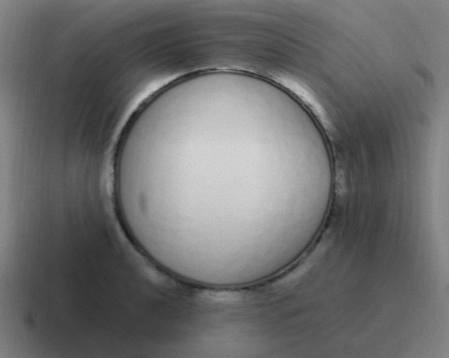 X0000116841040200912312051