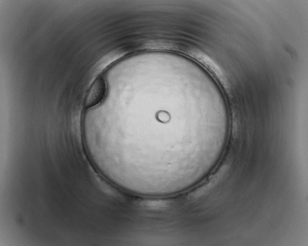 X0000116841041200912312051