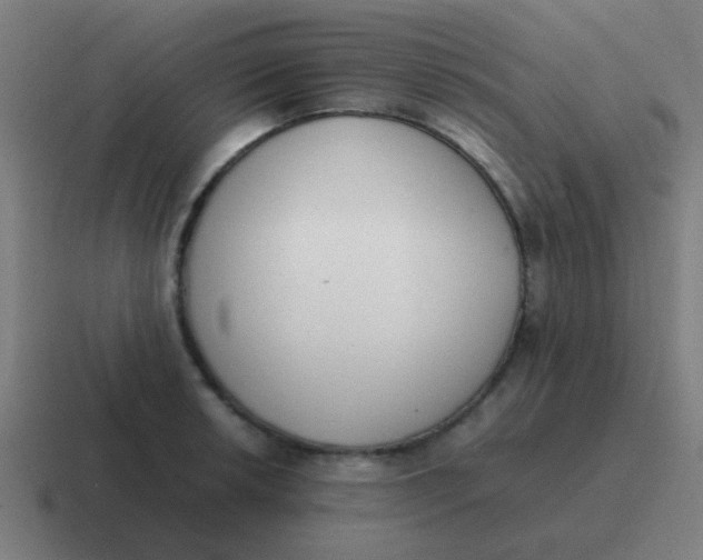 X0000116841042200912312051