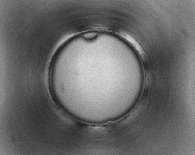 X0000116841043200912312051