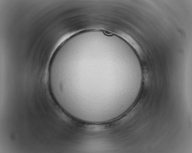 X0000116841044200912312051