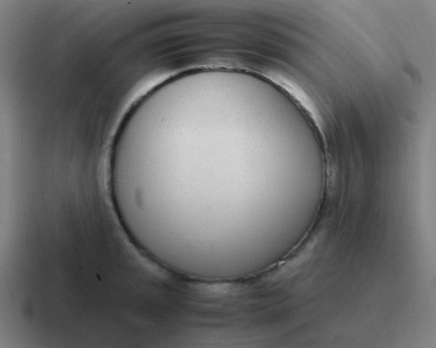 X0000116841045200912312051