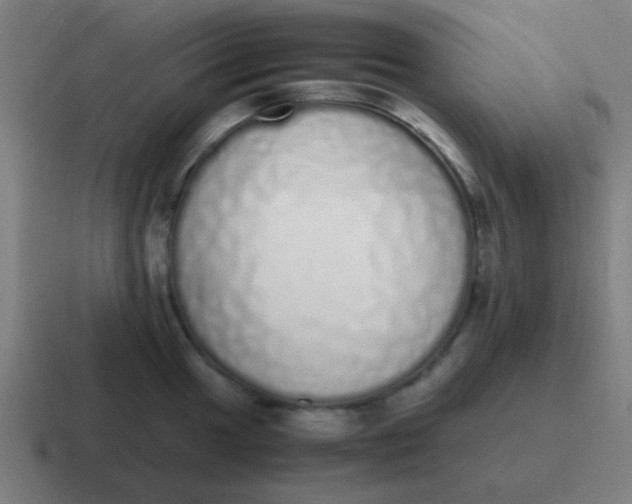 X0000116841049200912312051