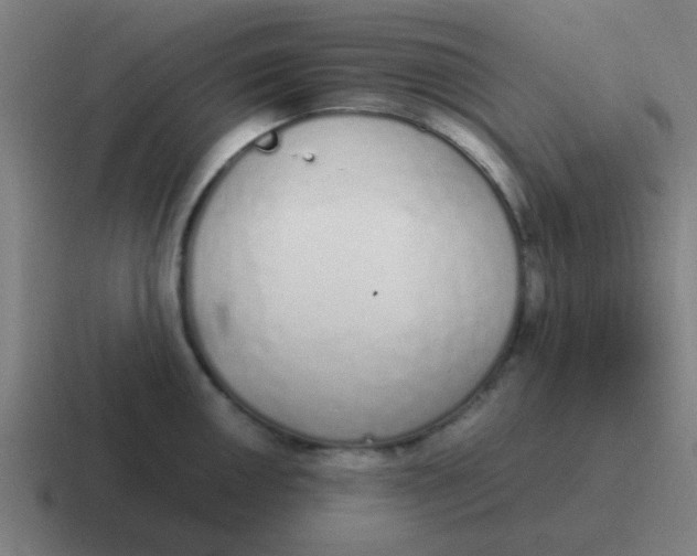 X0000116841050200912312051